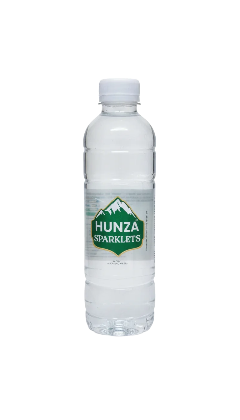 Water Bottle — 500ml